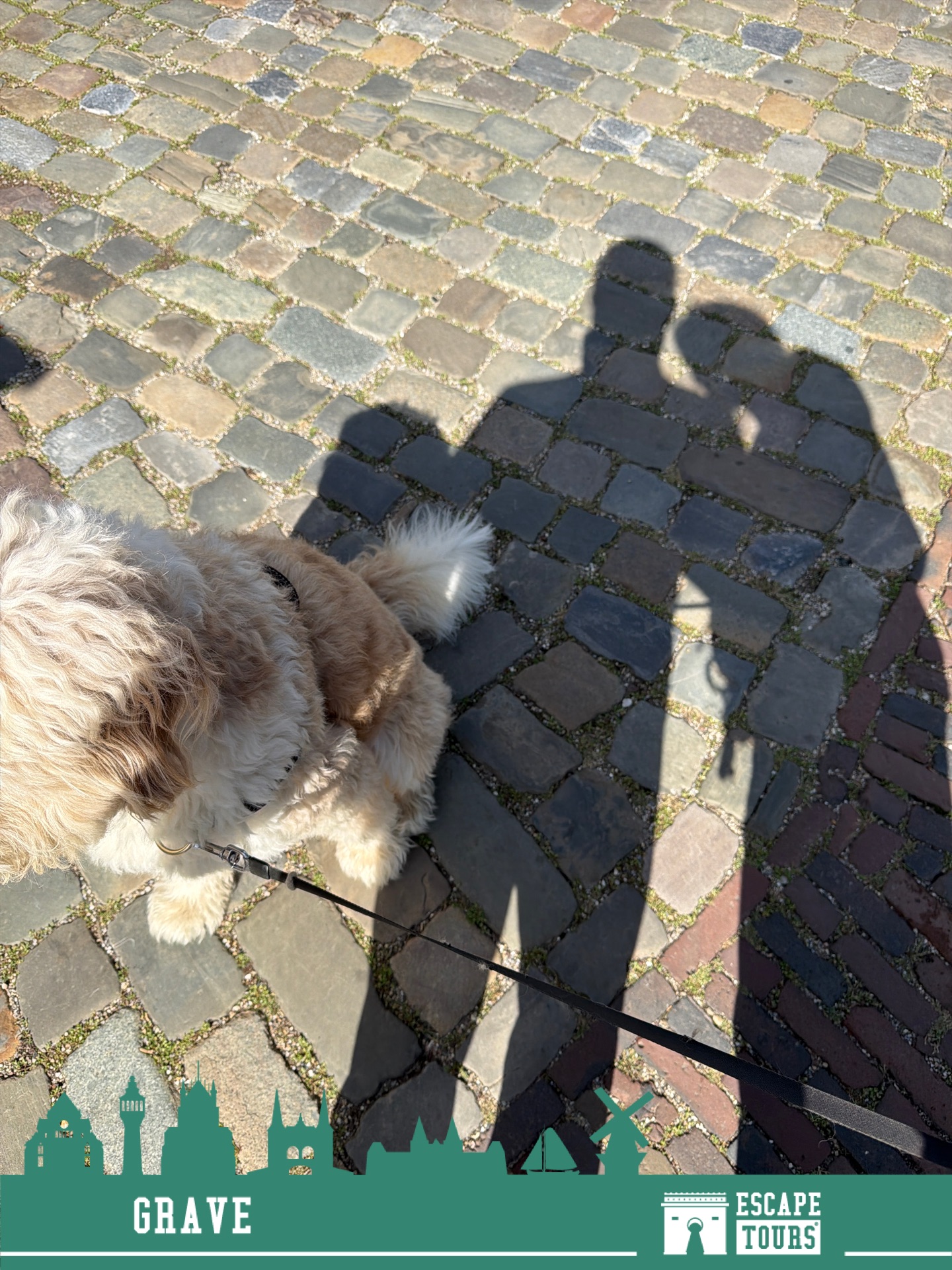 Teamfoto van Team Buddy